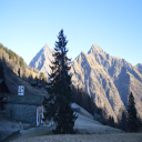 alps fine