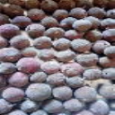 fruit ficus racemosa
