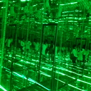 green lightings