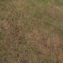 green texture