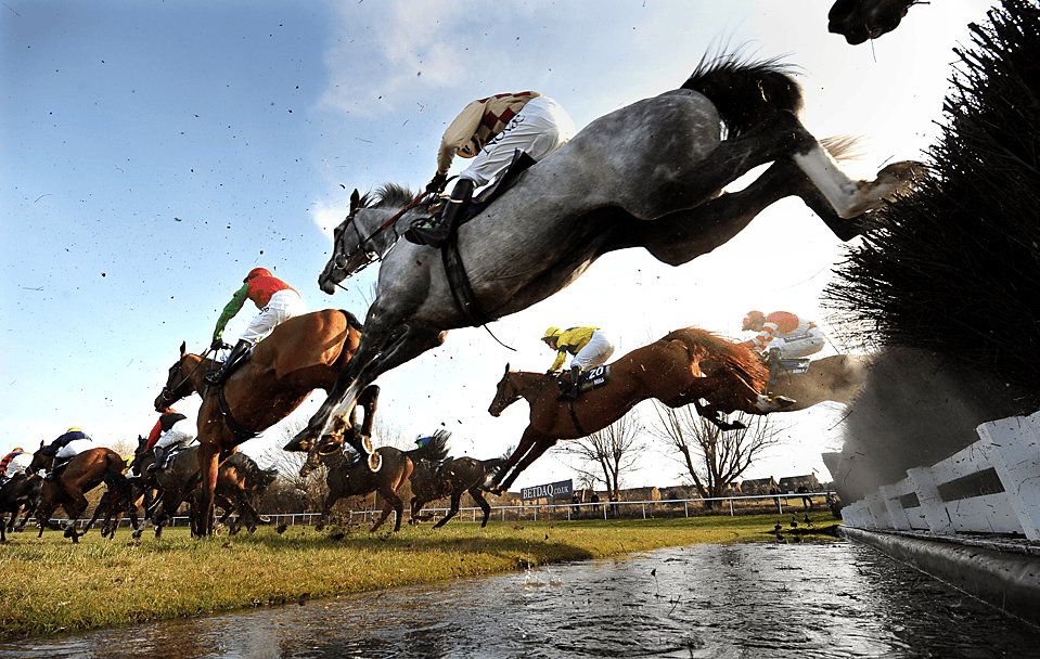 the cheltenham horse racing system