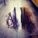 puddle