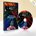 trees by the river