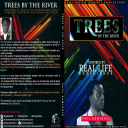 trees by the river