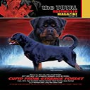 Volume 35 - Digital Download