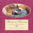 rose in bloom