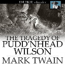 the tragedy of pudd'nhead wilson