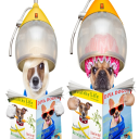Opening a grooming salon | Pets | Instant Download