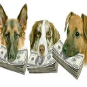 budgeting a grooming salon