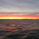 auckland