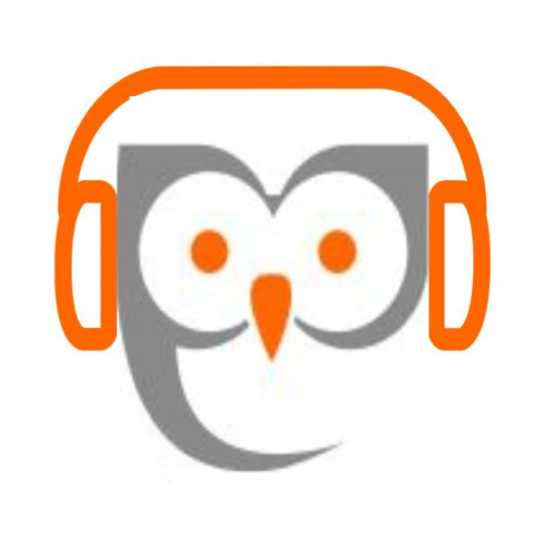 Transcript Podcast 13 Zeg het in het Nederlands 13 - Additional View 2