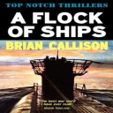 a flock of ships