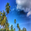 sky