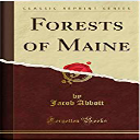 forests of maine