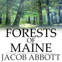 forests of maine