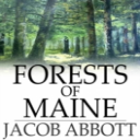 forests of maine