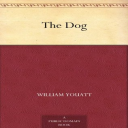 the dog