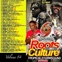 Tropical Storm Soundsystem INTL Reggae Street Demo 14 (Digital) 2012-2013 - Digital Download