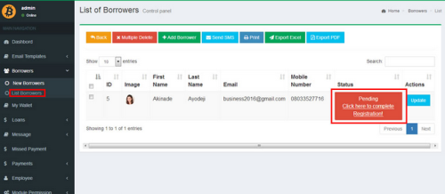 Loan Management System - Additional View 2