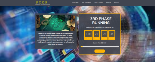 Fundamental Coin Offer - Additional View 1