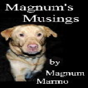 Magnum's Musings - Digital Download