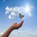 jesus came that we might have life and more abundantly