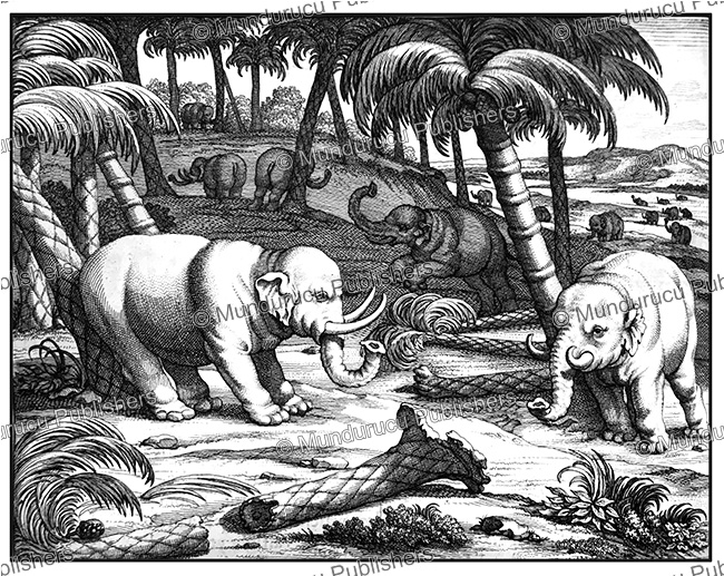 Elephants knocking down trees on Ceylon (Sri Lanka), Philippus Baldaeus