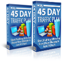 45 day traffic plan complete traffic generation workshop