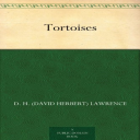 tortoises