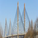 20 Zeg het in het Nederlands 20 - Digital Download