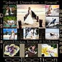 (I) Island Paradise - Hawaii - Digital Download