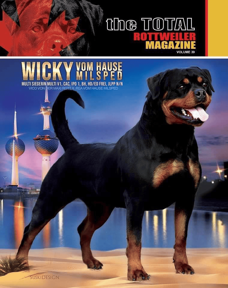 Volume 39 - Digital Download