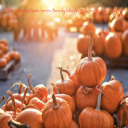 The Princess Poets Series: Beverly Hills Art Walk And Pumpkin Patch - Digital Download