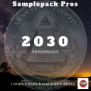 2030 Sample Pack - Digital Download