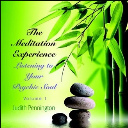 The Meditation Experience: Listening to Your Psychic Soul, Volume 1 - Digital Download