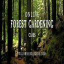 Forest Gardening Class: Session 2 - Digital Download