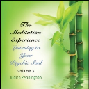 The Meditation Experience: Listening to Your Psychic Soul, Volume 3 - Digital Download