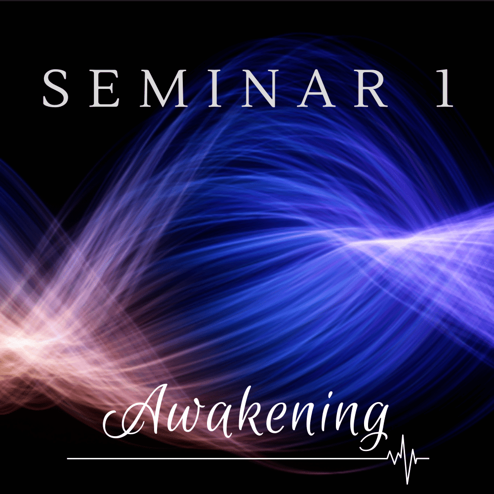 Seminar 1: Awakening - Digital Download