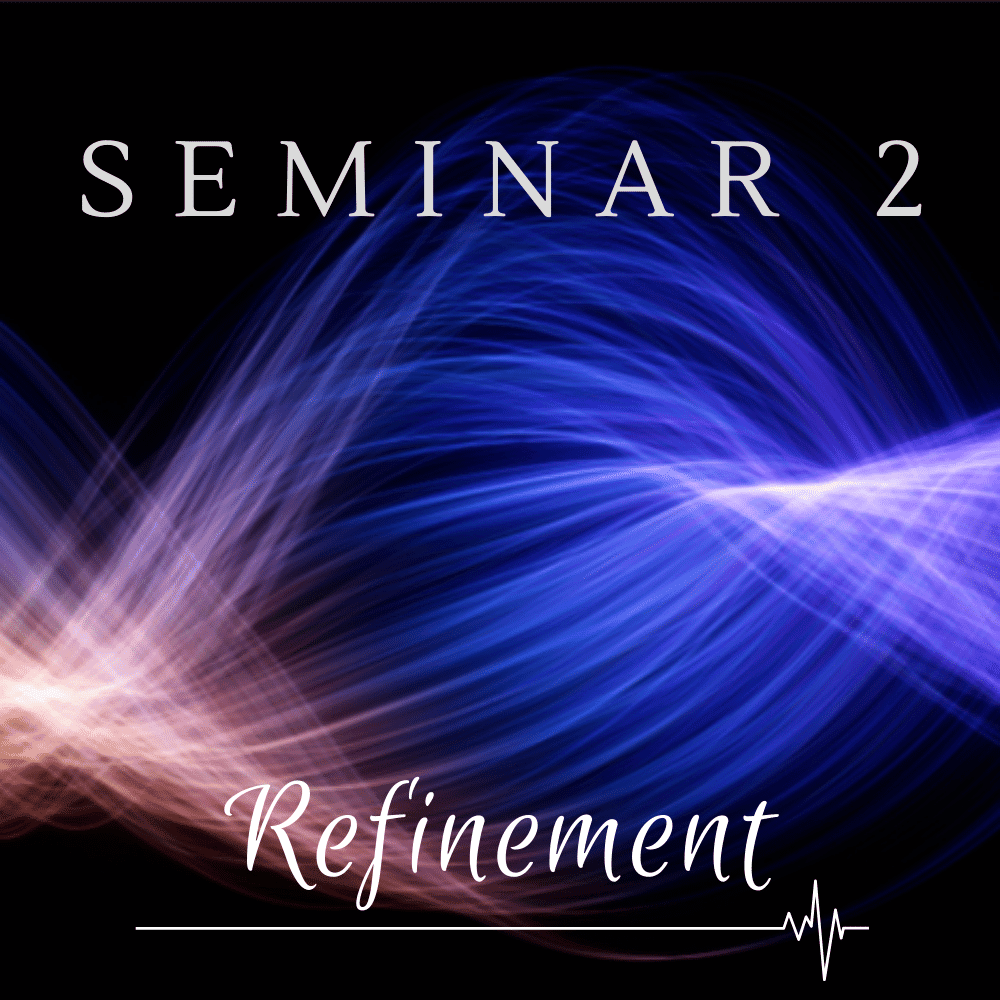 Seminar 2: Refinement - Digital Download