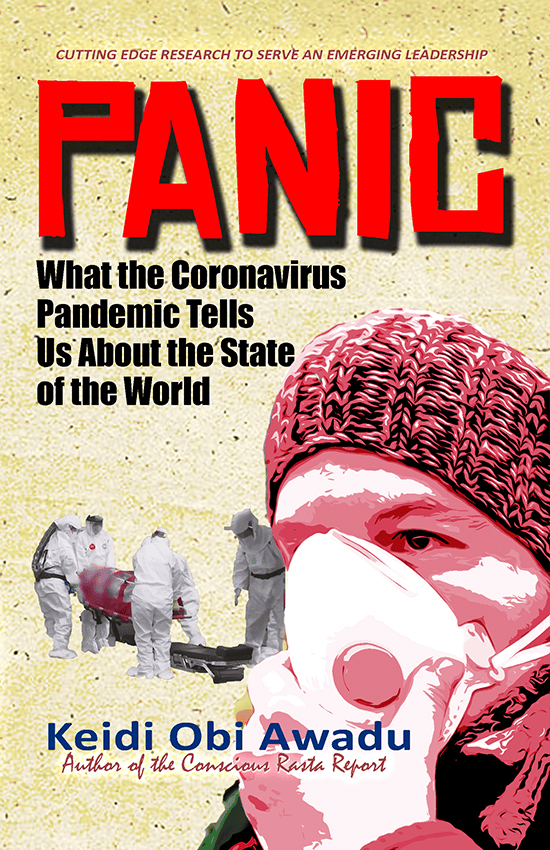 PANIC: What the Coronavirus Pandemic Tells Us About the State of the World - Digital Download