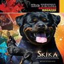 Volume 42 - Digital Download