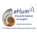 eHum Class Workbook - Digital Download