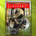 Impulse Amazing - Digital Download