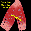 Reactive_Muscles_with_Earl_Cook_Workbook - Digital Download