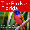 The Birds of Florida (5 Mp3s) - Digital Download