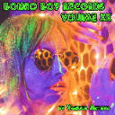 Bongo Boy Records, Vol. XX by Various Artists - Digital Download