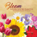 Bloom Where You're Planted - Digital Download