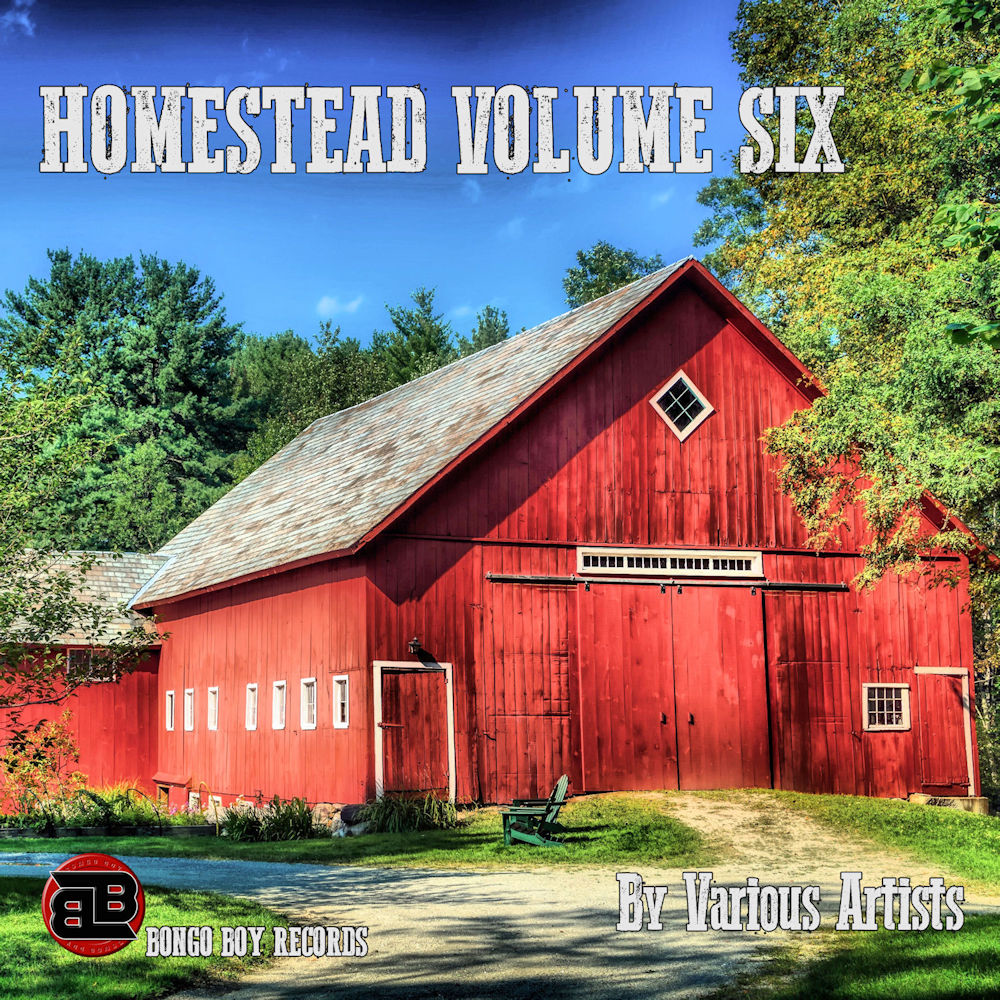 Homestead, Vol. 6 by Various Artists - Digital Download