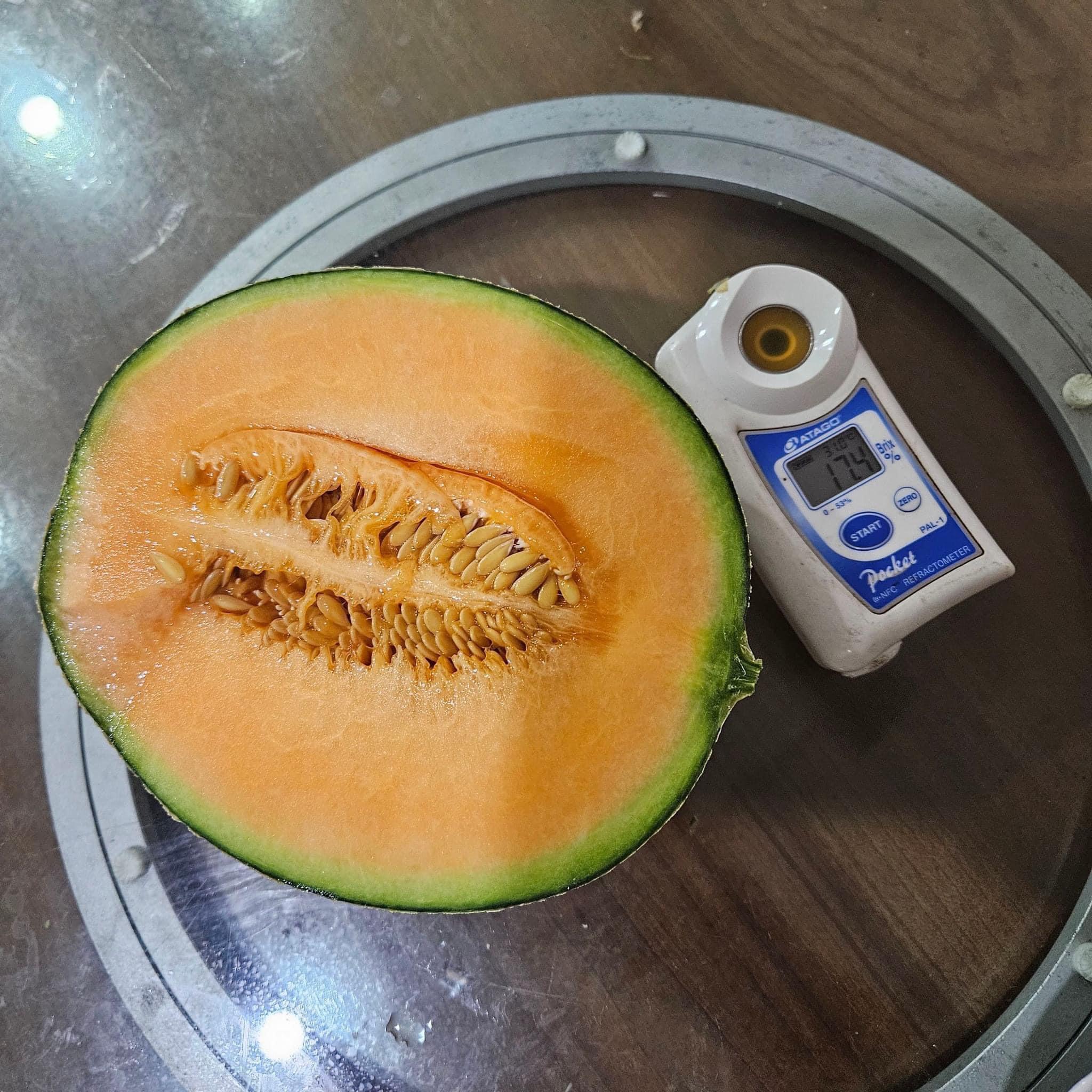 Fertilizer Recipe For Melons 2 tanks (full) Other Files Documents