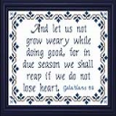 Not Grow Weary - Digital Download